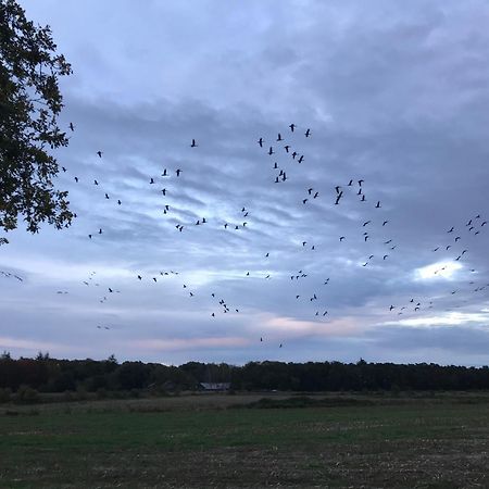 Vakantiehuis Appelvink, Toplocatie In Bosrijke Omgeving أويسترفايك المظهر الخارجي الصورة