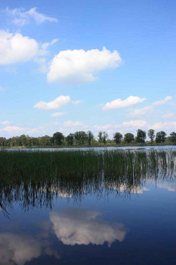 Vakantiehuis Appelvink, Toplocatie In Bosrijke Omgeving أويسترفايك المظهر الخارجي الصورة