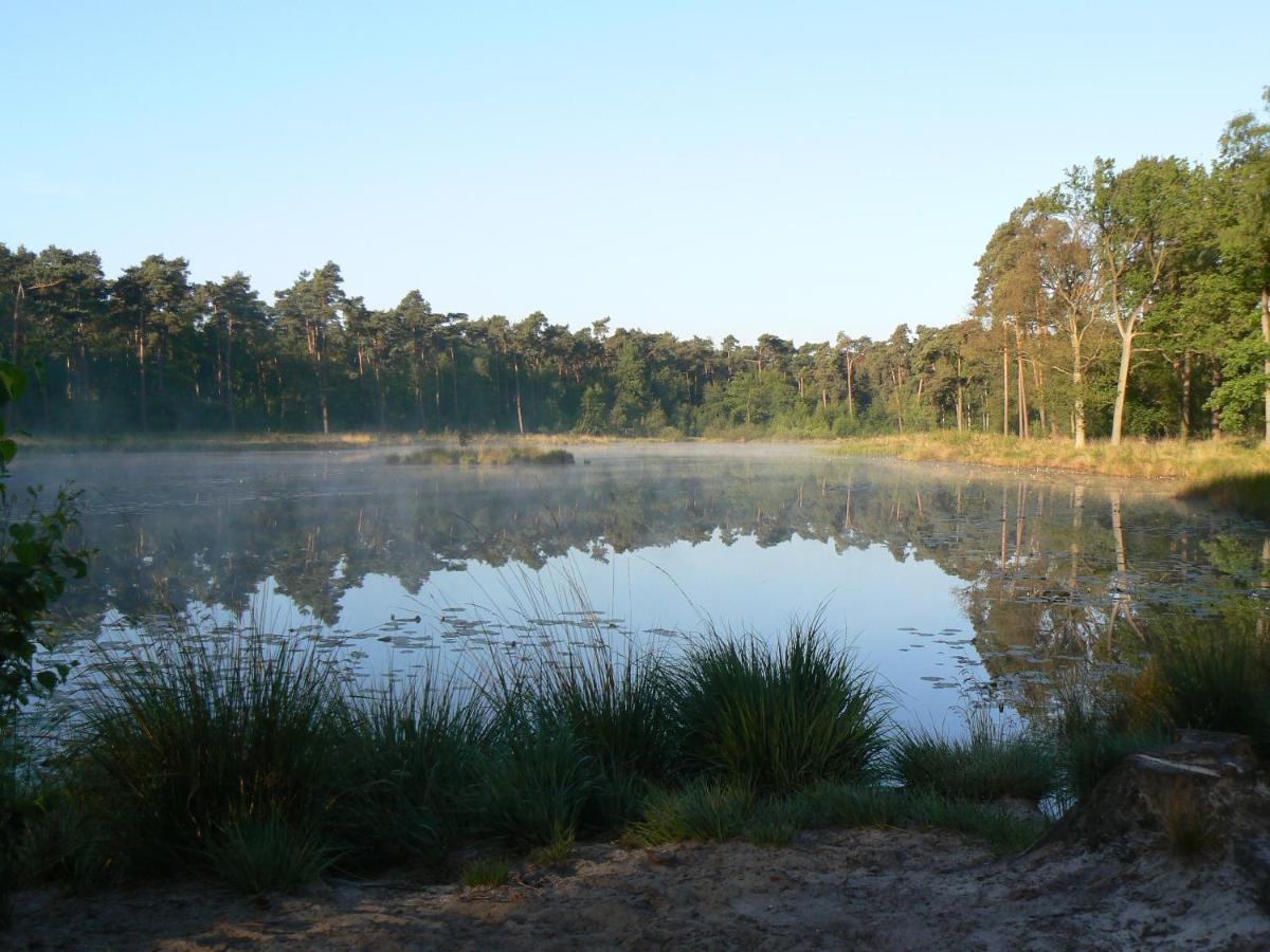 Vakantiehuis Appelvink, Toplocatie In Bosrijke Omgeving أويسترفايك المظهر الخارجي الصورة