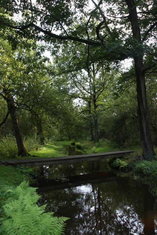 Vakantiehuis Appelvink, Toplocatie In Bosrijke Omgeving أويسترفايك المظهر الخارجي الصورة
