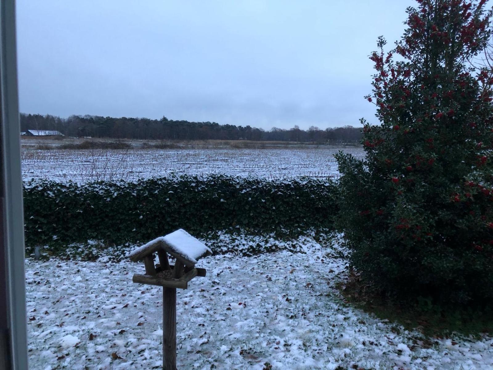 Vakantiehuis Appelvink, Toplocatie In Bosrijke Omgeving أويسترفايك المظهر الخارجي الصورة